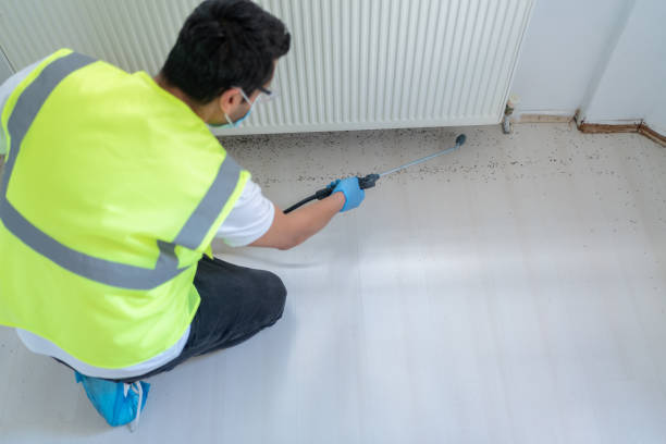 Real Estate Pest Inspections in Eloy, AZ